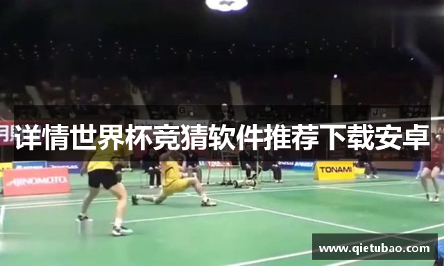 详情世界杯竞猜软件推荐下载安卓